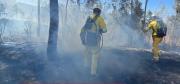 En Erquis Sud se activa un incendio pero bomberos y la alcaldía de Tarija logran controlarlo