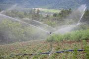 Tarija: Con Bs 2,4 millones de inversión entregan riego tecnificado para mejorar la producción en Yacuiba