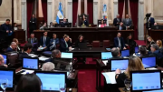 Senado: la oposición avanza con proyectos para el Garrahan, universidades y contra decretos de Javier Milei