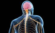 Ana Belén Caminero, especialista en neurología: Cada vez se diagnostica más esclerosis múltiple entre jóvenes de 20 y 40 años