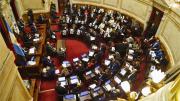 En el Senado tratan el prespuesto para las universidades y hospitales pediátricos