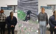 Rescatan animales en estado de abandono en la Región: dos mujeres imputadas por maltrato