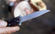 Un herido grave por la pelea menos pensada