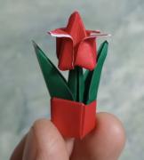 Fabio, el artista que deja origamis en los lugares más impensados de Roca