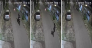Video: un joven de Los Hornos se enfrentó a piñas con dos motochorros y frustró un robo