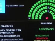 Uno por uno, cómo votaron los senadores para aprobar la ley Garrahan de emergencia pediátrica