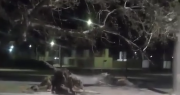 El video que voló en las redes tras el Zonda: “Está she juelte acá el viento”