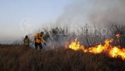 Distintas áreas municipales trabajan para sofocar incendios de pastizales en la ciudad de Salta