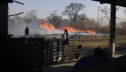 El viento Zonda en Salta complicó a vecinos cerca del aeropuerto: una mujer lucha contra el fuego