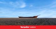 Confluencia: Una caminata por la historia y la naturaleza de Punta Loyola