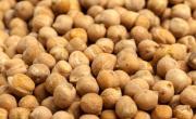 Cómo cocinar garbanzos sin remojar: la forma más fácil de hacerlo
