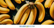 Cuánto potasio tiene una banana y cuántas se pueden comer por día