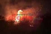 Video: Incendio de pastizales generó temor en la Costanera Sur por los fuertes vientos