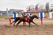 Imperdible jornada de turf mañana en el H-27