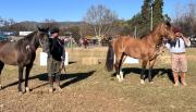Expo Rural Salteña: actividades, espectáculos imperdibles y todo lo que se viene para este domingo 
