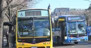Licitación del transporte: los nombres que se piensan para las nuevas líneas de micros de La Plata