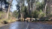 Alerta por viento en Bariloche: techos volados, cortes de luz y complicaciones en caminos por fuertes ráfagas