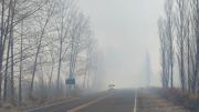 Tránsito complicado entre Allen y Roca: piden circular con precaución por la presencia de humo en la Ruta 65
