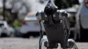 Presentan nuevo perro robot que protege a los animales: conoce todas sus funciones avanzadas aquí