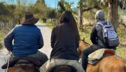 Turismo a caballo en Salta: cabalgatas en La Silleta y en Chicoana para vivir la naturaleza
