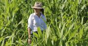 Científica salteña dejó el Conicet para crear su propia empresa agrotech: ya consiguió u$s 1,2 millones