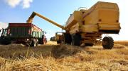 El agro regula la inversión y crece la cautela de cara a las elecciones