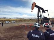 Pecom cambia a su líder del área de Upstream