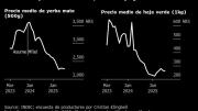 De la protección al libre mercado: la yerba mate en Argentina se derrumba