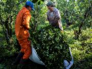 Las exportaciones de yerba mate vuelan: en julio se registró una marca inédita en el sector
