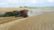 Caída de la confianza en el agro: “Hay un sentimiento de pesimismo, las decisiones de inversión cayeron”