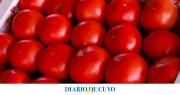 Feria y Mercado de Abasto de Capital: todo el listado de precios de verduras, frutas y carnes