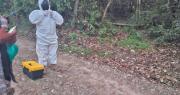 “No los han matado aquí”, presumen que los cuerpos de la familia asesinada fueron traídos desde otro sector