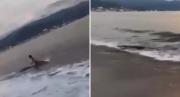 VIRAL: Turista se salvó de ser devorado por un cocodrilo en una playa de México, todo quedó grabado