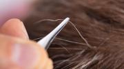 Cómo combatir las canas de manera natural y mejorar la salud del cabello
