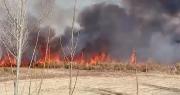 Video: un incendio avanzó sobre una finca en Albardón