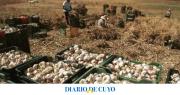 Una nueva posibilidad para empresas sanjuaninas con potencial exportador
