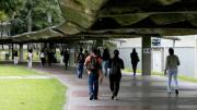 ¡Aún tienes tiempo! Prorrogan segunda fase de asignacion de cupos universitarios: paso a paso para modificar tus opciones
