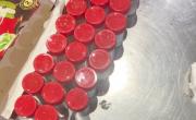 “Contrabando” de 1.500 arañas en envases de galletas