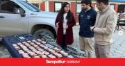 Cayeron los Zares del Contrabando en operativo de la PDI de Magallanes
