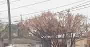 Rivadavia asistió a familias afectadas por el temporal de Santa Rosa