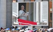 El Papa pide terminar con la “pandemia de armas”
