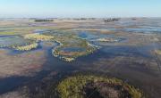 Intensas lluvias siguen castigando al campo
