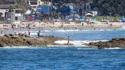 Environment America revela playas con altos niveles de bacterias: ¿Cuáles son?