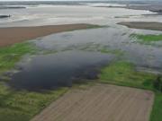 Por las inundaciones y la falta de obras, peligra la producción de trigo