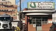 Celulosa Argentina, en quiebra técnica