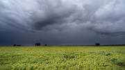 La ciencia reveló porqué a muchas personas les gusta tanto el olor a lluvia