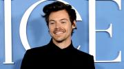 Cómo será la mega mansión de Harry Styles que deberá tener por ley cajas para murciélagos, nidos para aves y dos hoteles para insectos