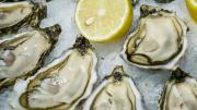 Alerta sanitaria en EEUU: Comieron ostras crudas contaminadas con esta peligrosa bacteria y fallecieron