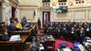 El Senado intentará frenar los vetos de Milei
