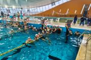 Excelente desempeño del equipo de natación de la Escuela Normal Manuel Belgrano en el Torneo Regional